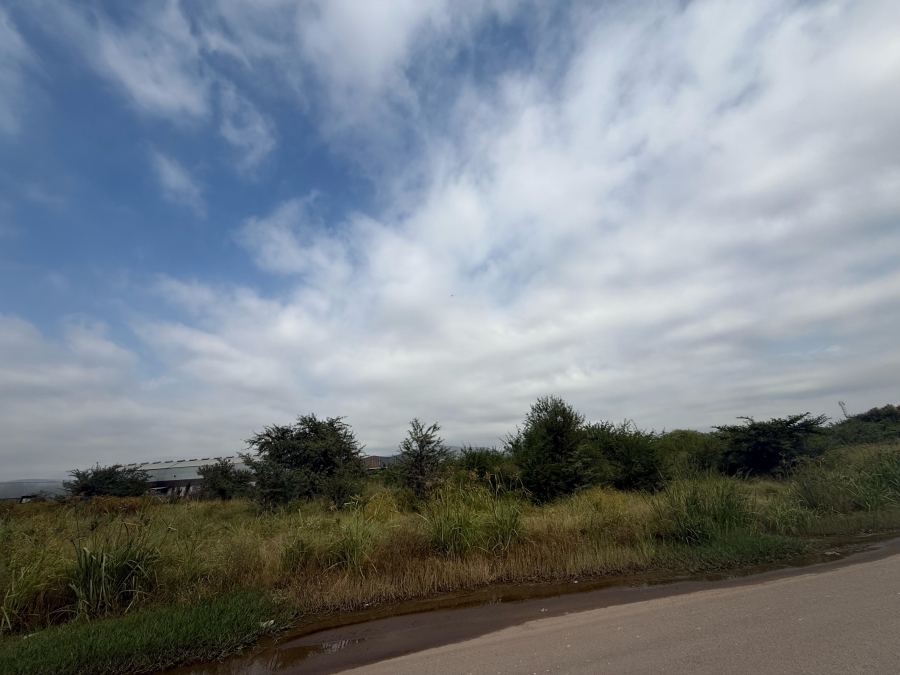 To Let commercial Property for Rent in Zinniaville North West